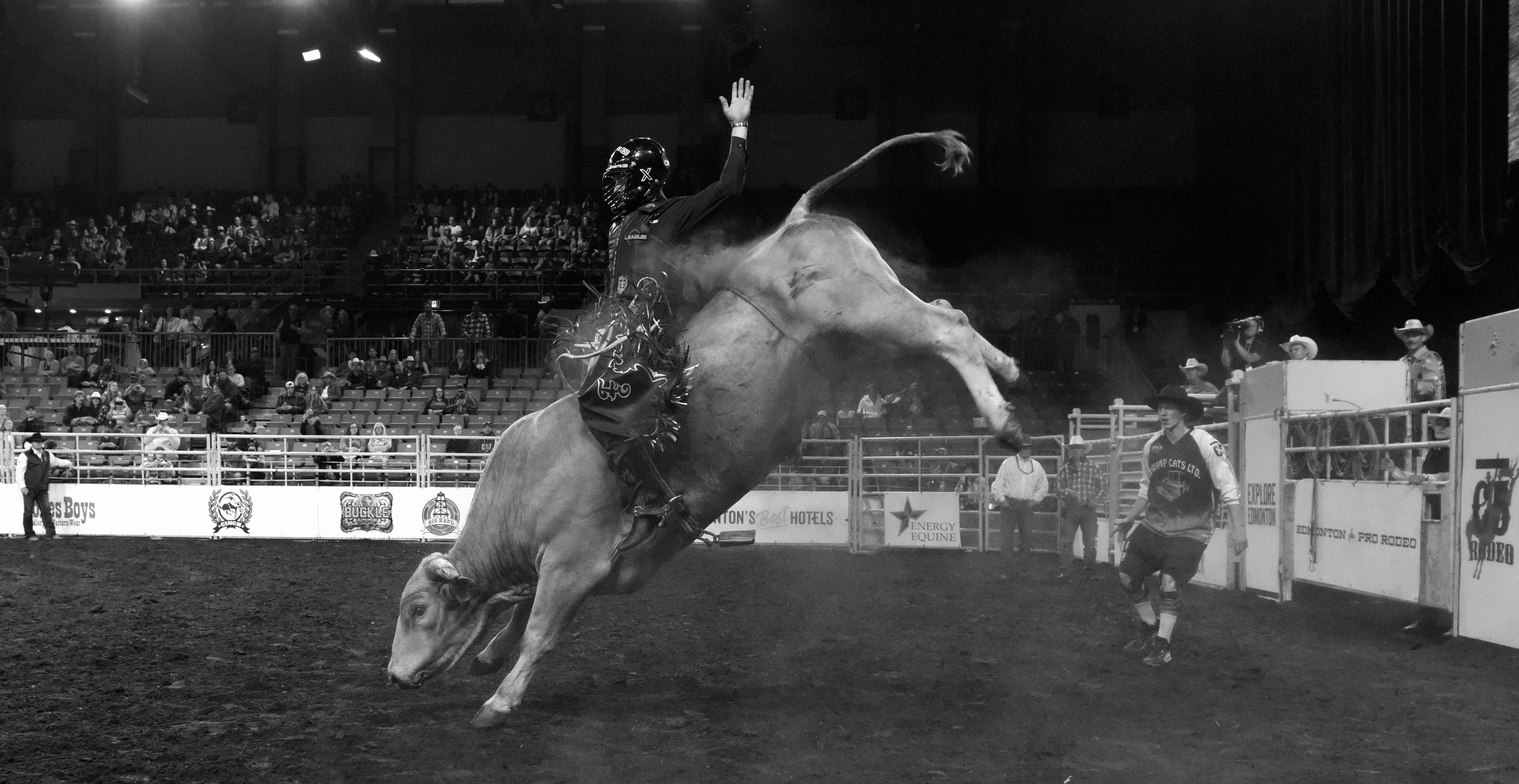 Events Archive Edmonton Pro Rodeo